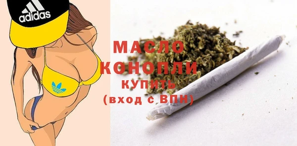 spice Гусев
