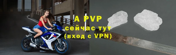 соль ск Гусиноозёрск