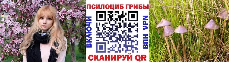 Галлюциногенные грибы мухоморы  Купить  Красноперекопск 